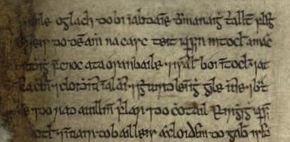 A detail of p. 113 of the Book of Fermoy. The beginning of the story of the abbot of Drimnagh.